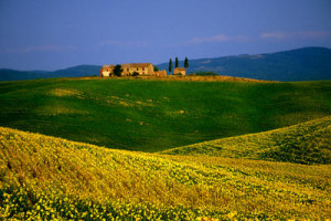 toscana2 (1)